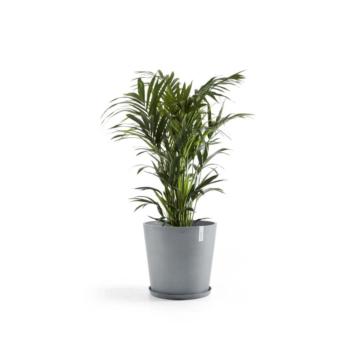 Kukkaruukku Amsterdam 50cm siniharmaa - Image 5
