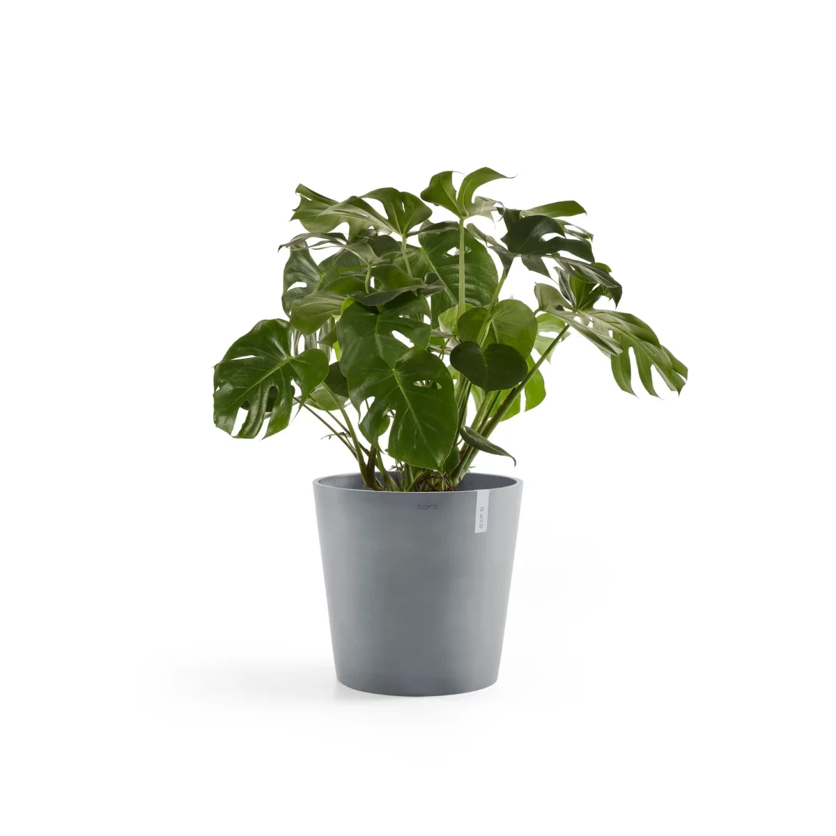 Kukkaruukku Amsterdam 50cm siniharmaa - Image 9