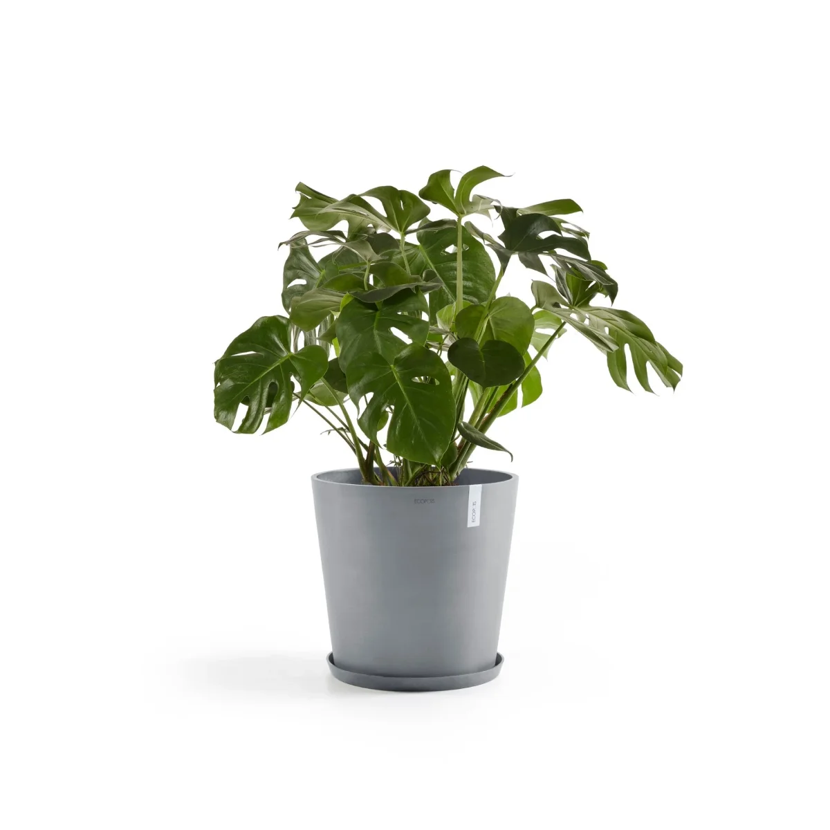 Kukkaruukku Amsterdam 50cm siniharmaa - Image 7