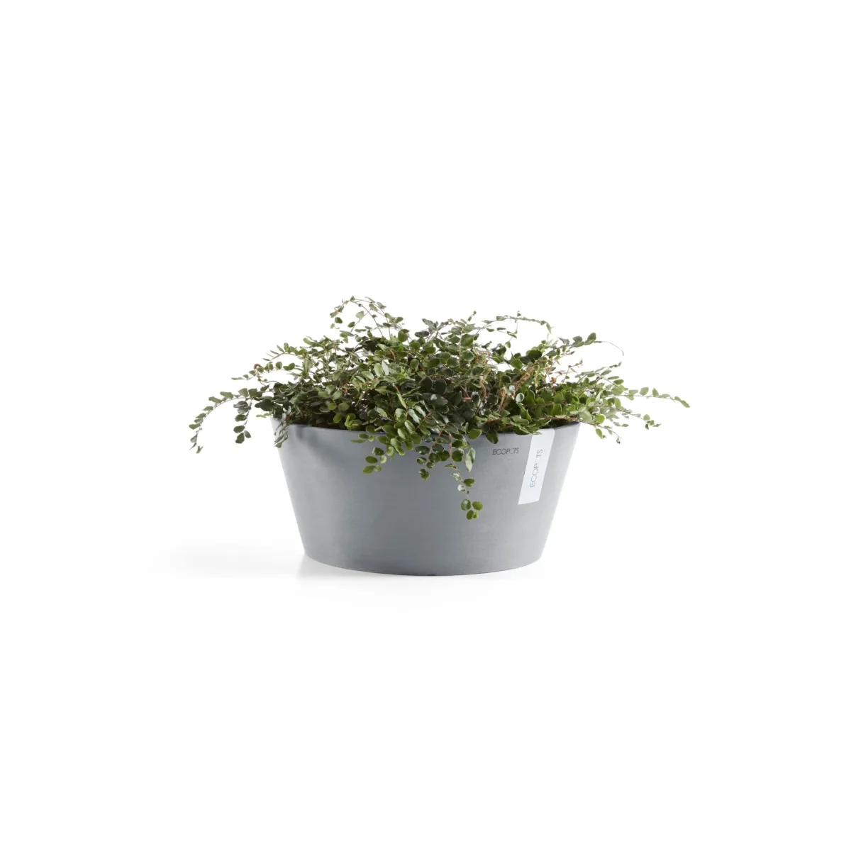 Kukkaruukku Frankfurt 50cm siniharmaa - Image 2