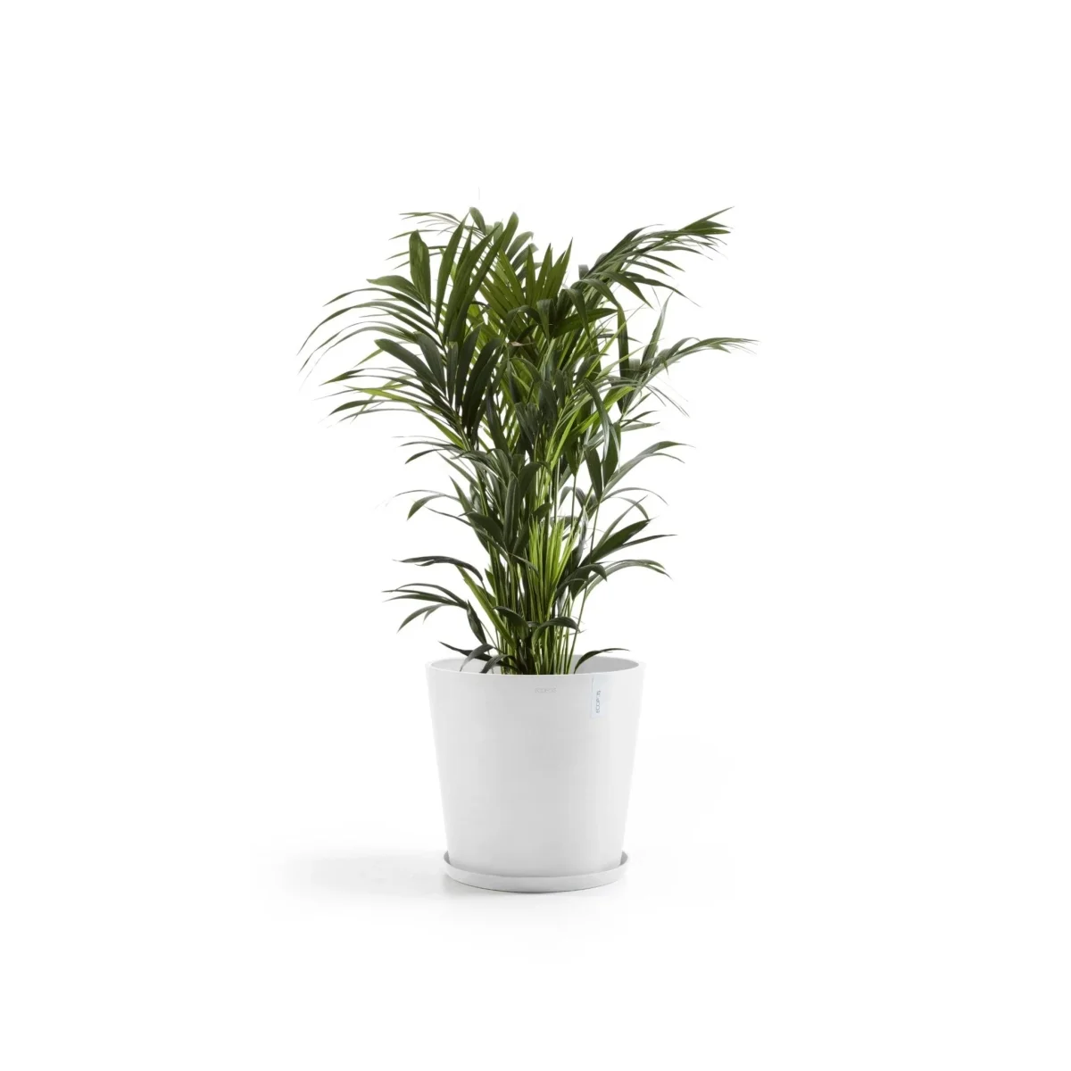 Kukkaruukku Amsterdam 50cm valkoinen - Image 4