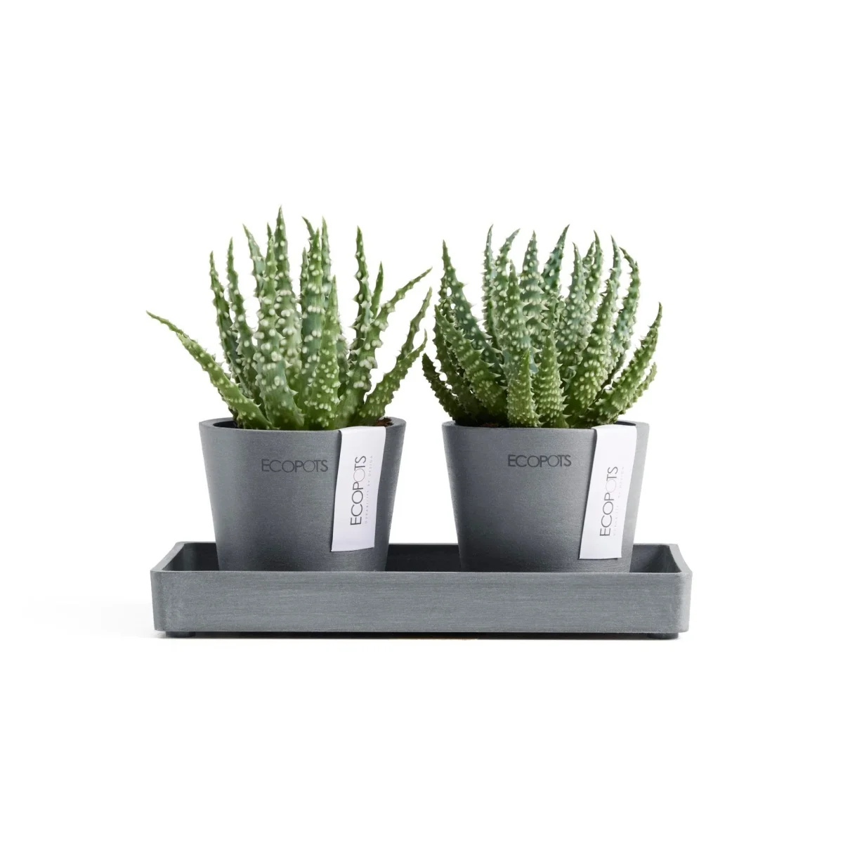 Kukkaruukku Amsterdam 8cm 2kpl & esillepanotarjotin 20cm siniharmaa - Image 2