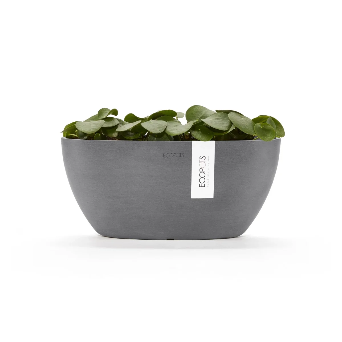Kukkaruukku Sofia 30cm harmaa - Image 6