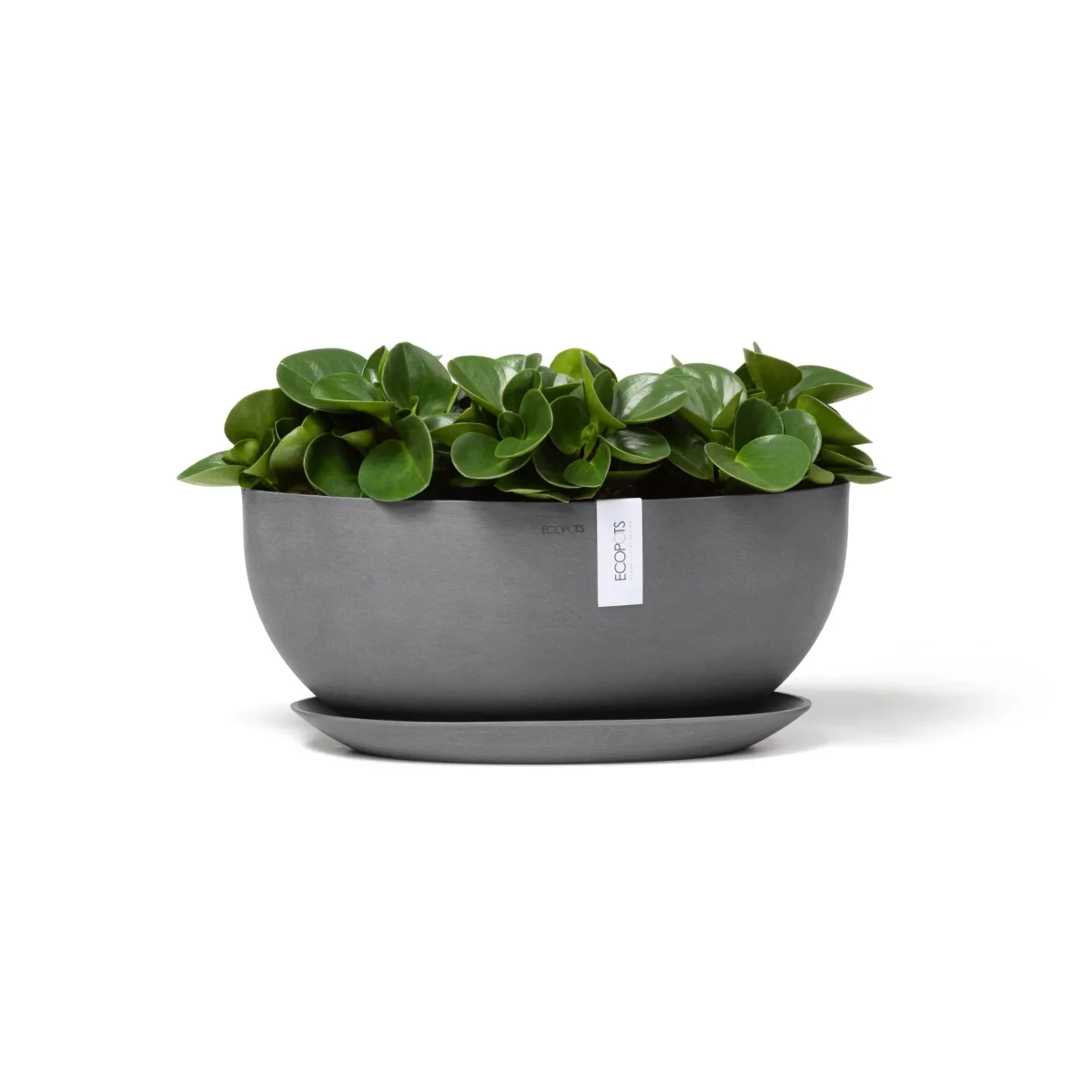 Kukkaruukku Sofia 43cm harmaa - Image 7