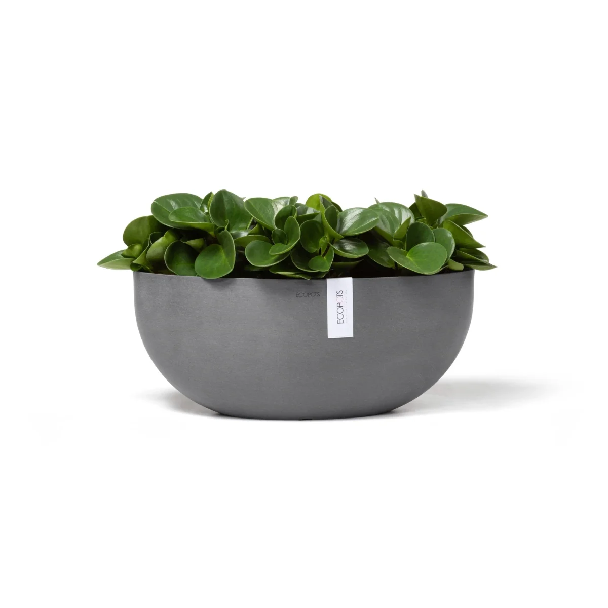 Kukkaruukku Sofia 43cm harmaa - Image 2
