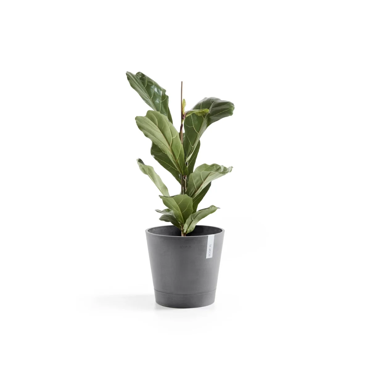 Kukkaruukku Venetsia 30cm harmaa - Image 5